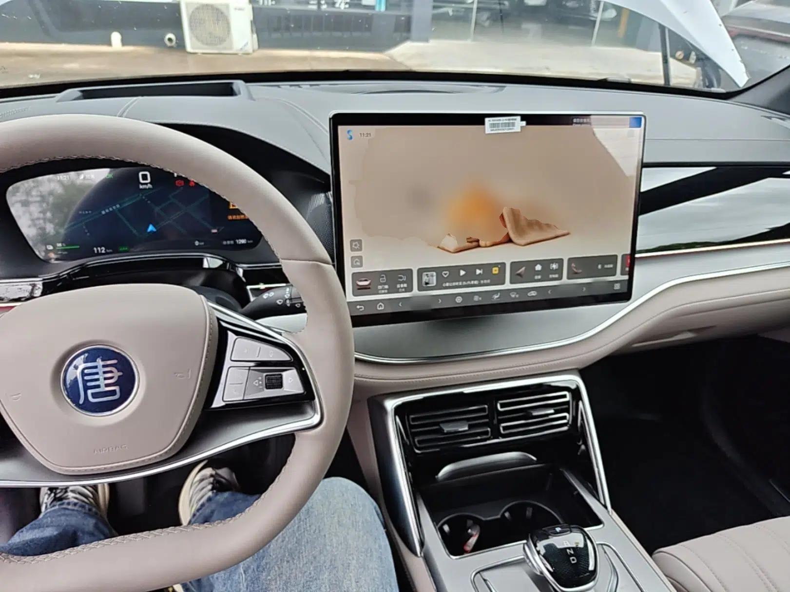 BYD Tang New Energy 2025 Intelligent Driving Version DM-i 115KM Flagship Edition — миниатюра 14