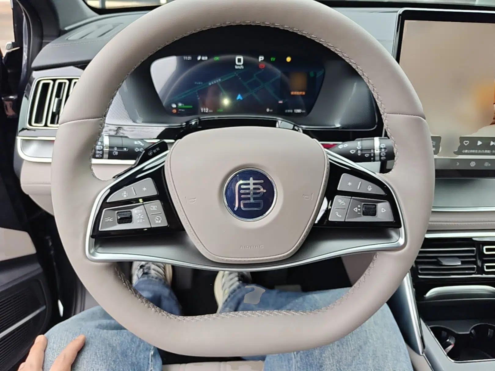 BYD Tang New Energy 2025 Intelligent Driving Version DM-i 115KM Flagship Edition — миниатюра 15