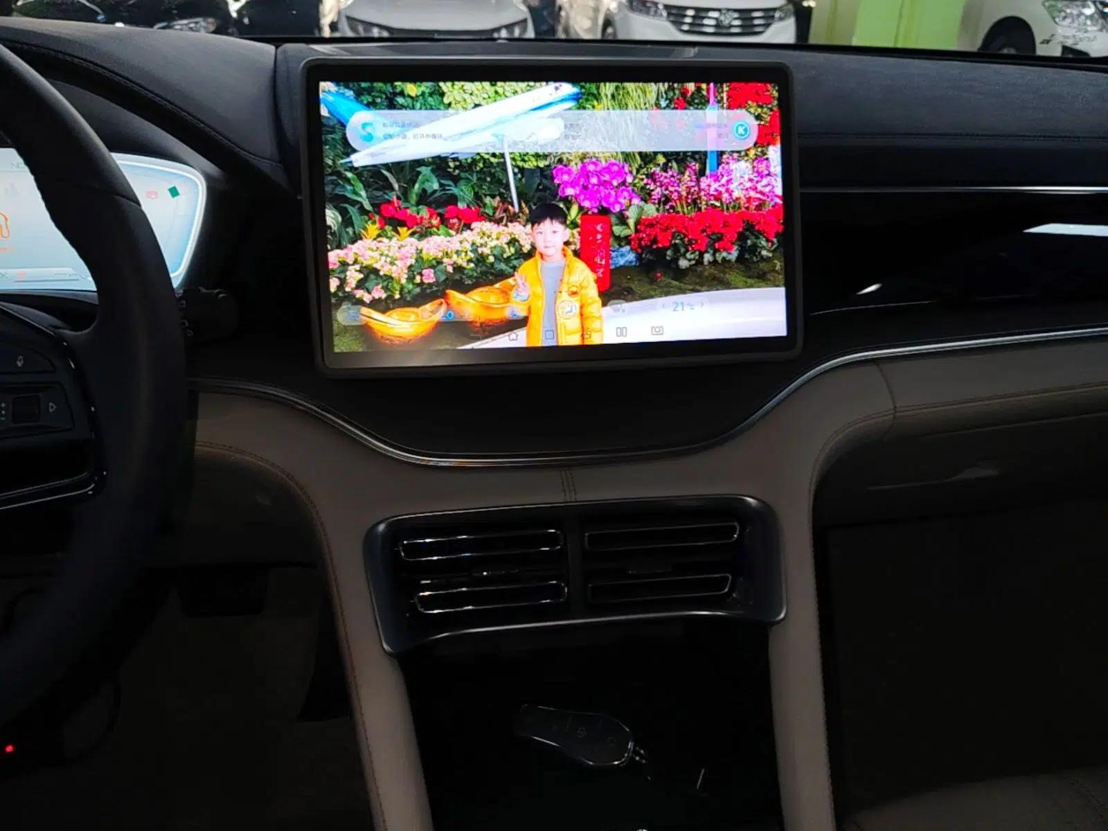 BYD Song PLUS New Energy 2024 HONOR Edition DM-i 71km Luxury Model — миниатюра 20