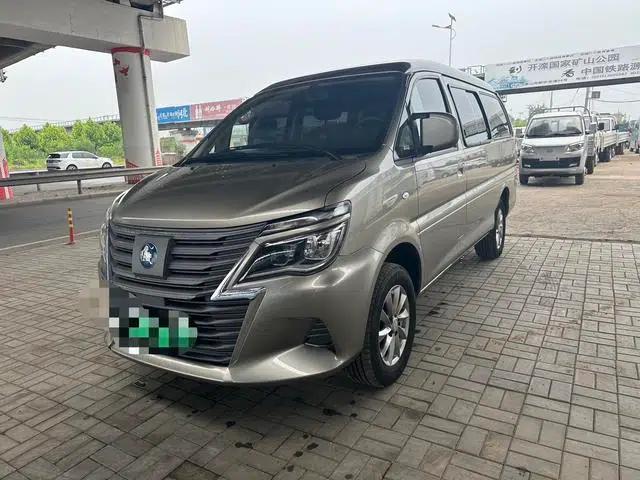 Lingzhi New Energy 2024 Standard Edition Basic 9-Seater