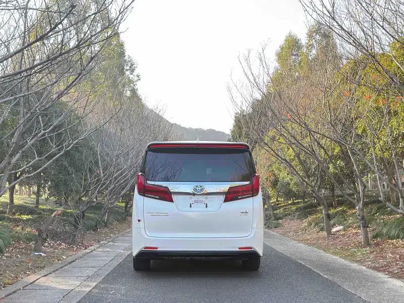 2021 Alphard Hybrid 2.5L Luxury Edition — миниатюра 5