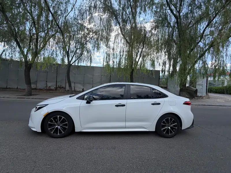Levin 2024 185T Luxury Edition — миниатюра 4