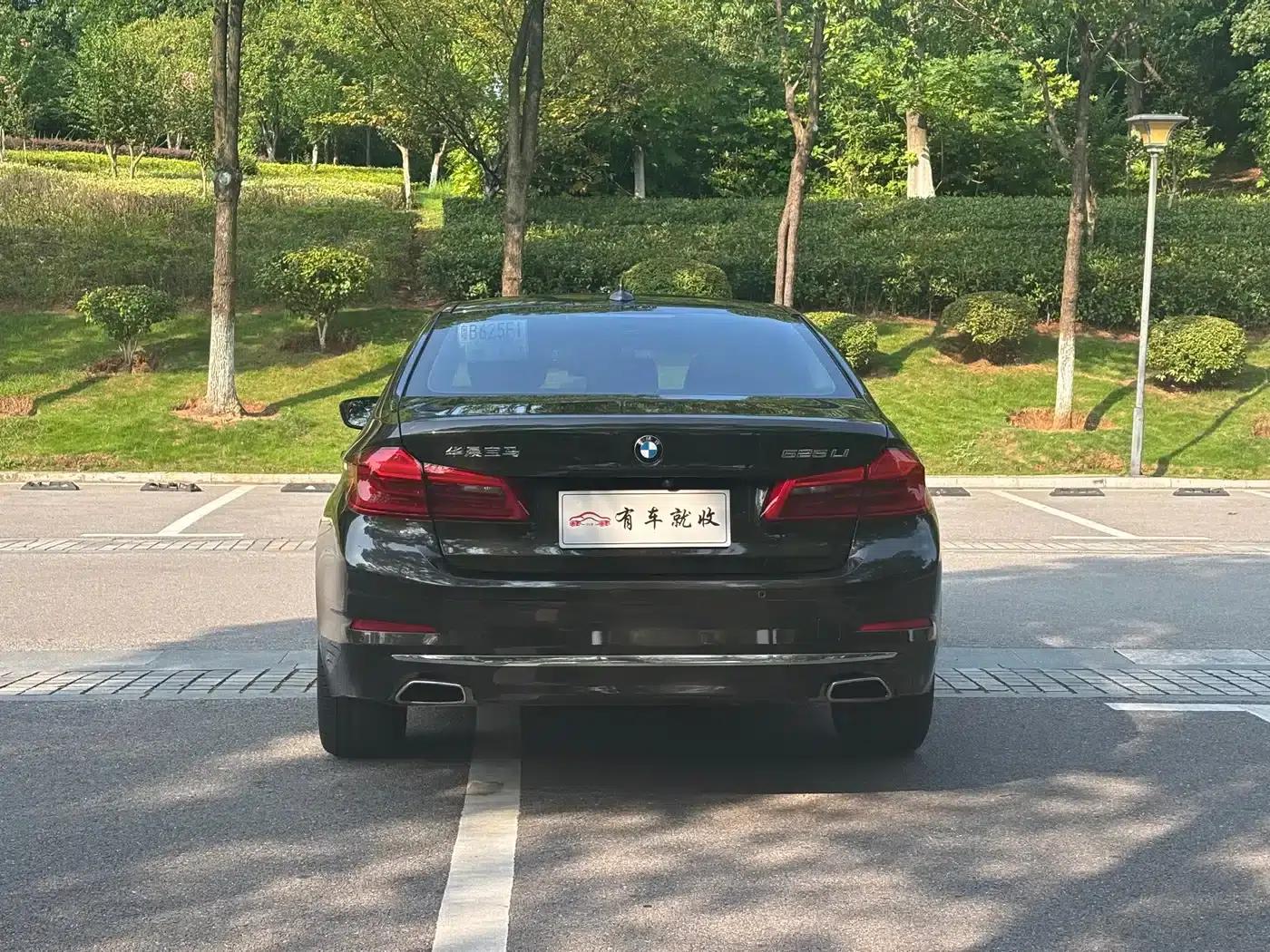 2018 BMW 5 Series 525Li Luxury Package — миниатюра 8