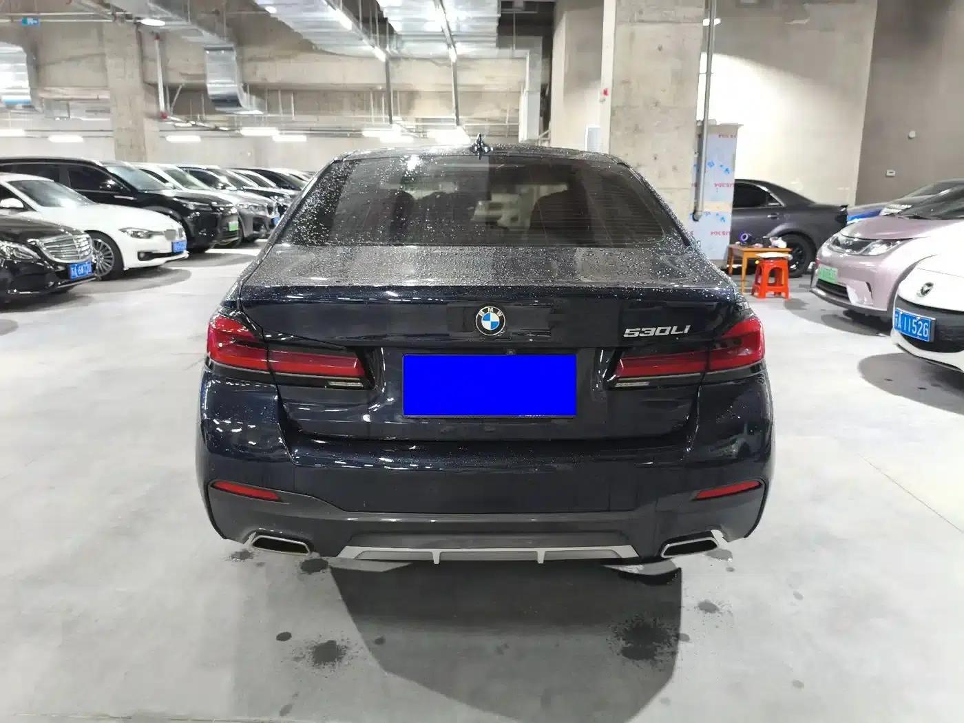 2021 BMW 5 Series 530Li Leading Edition M Sport Package — миниатюра 5