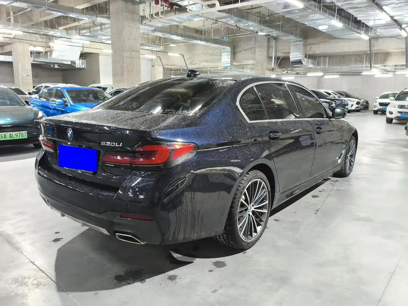 2021 BMW 5 Series 530Li Leading Edition M Sport Package — миниатюра 6