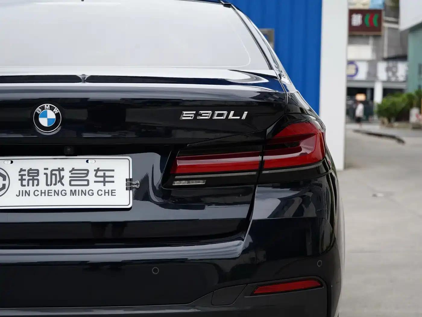2022 BMW 5 Series 530Li Leading Edition M Sport Package — миниатюра 22