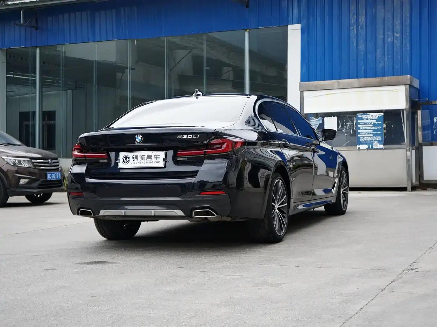 2022 BMW 5 Series 530Li Leading Edition M Sport Package — миниатюра 9