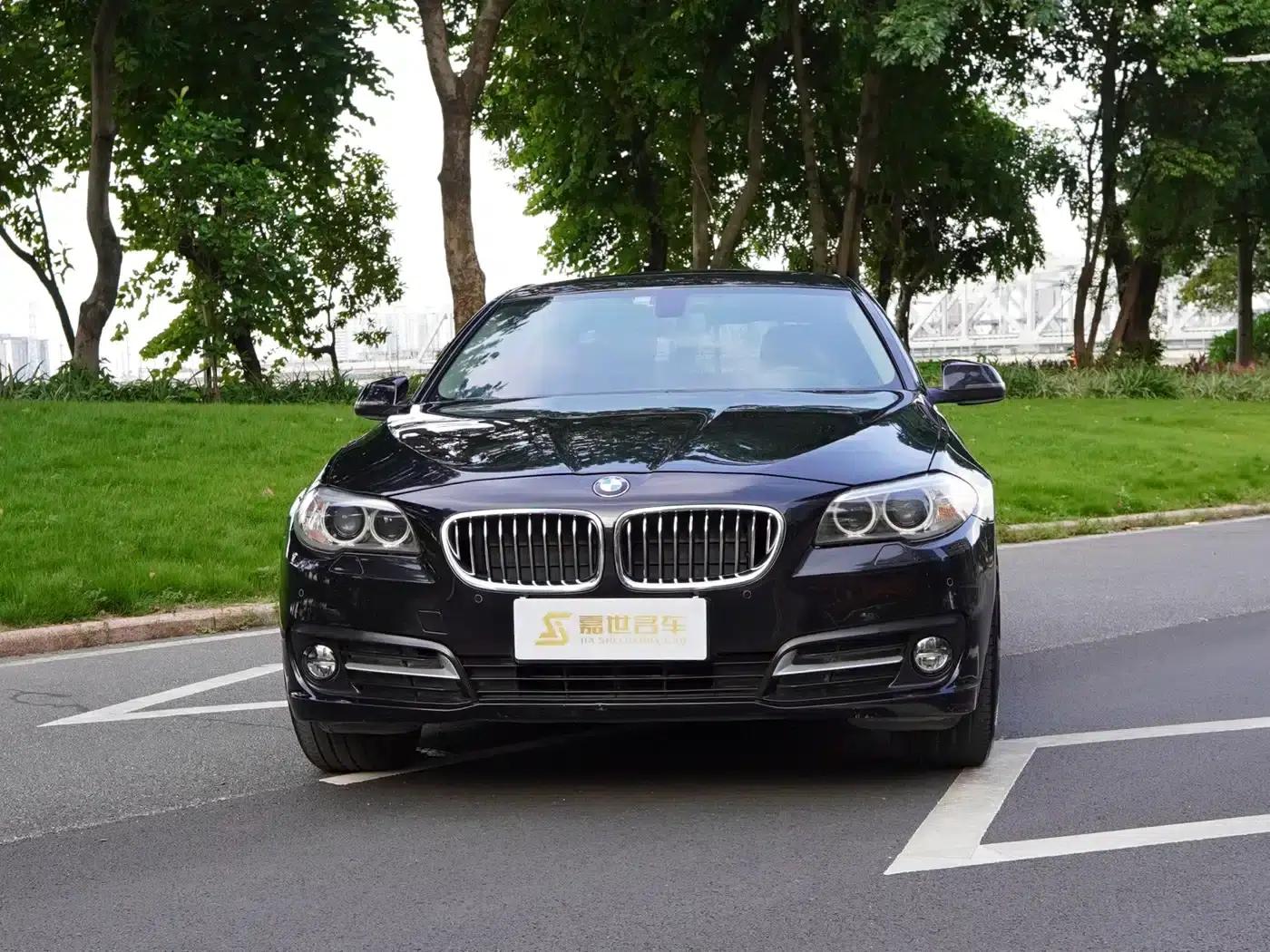 BMW 5 Series 2017 525Li Leading Edition — миниатюра 2