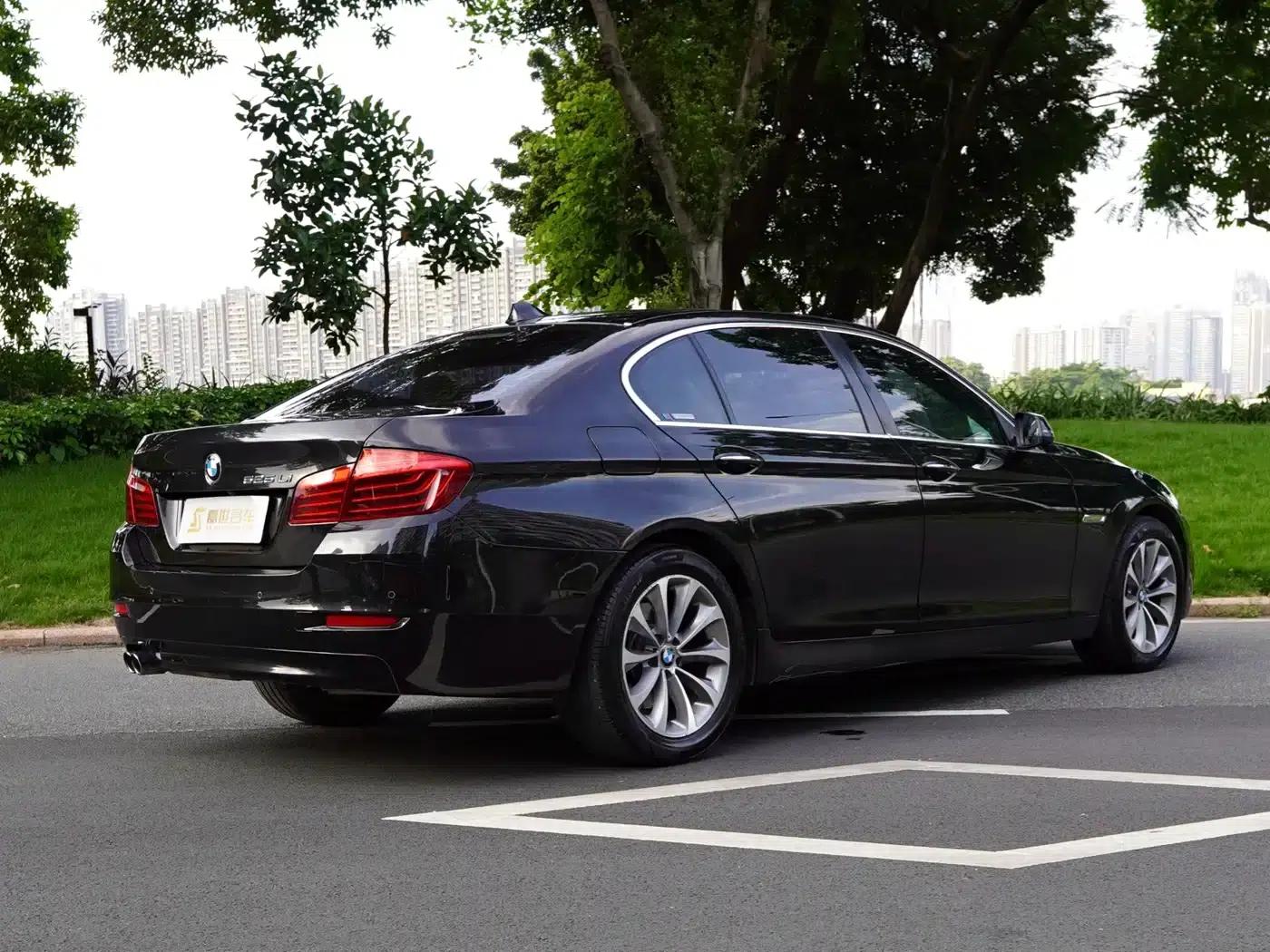 BMW 5 Series 2017 525Li Leading Edition — миниатюра 13