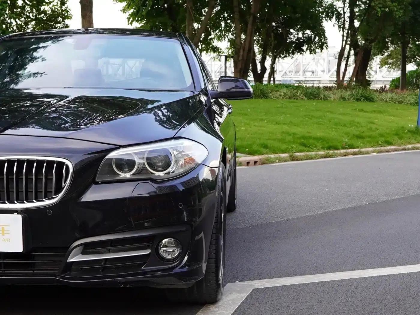 BMW 5 Series 2017 525Li Leading Edition — миниатюра 21