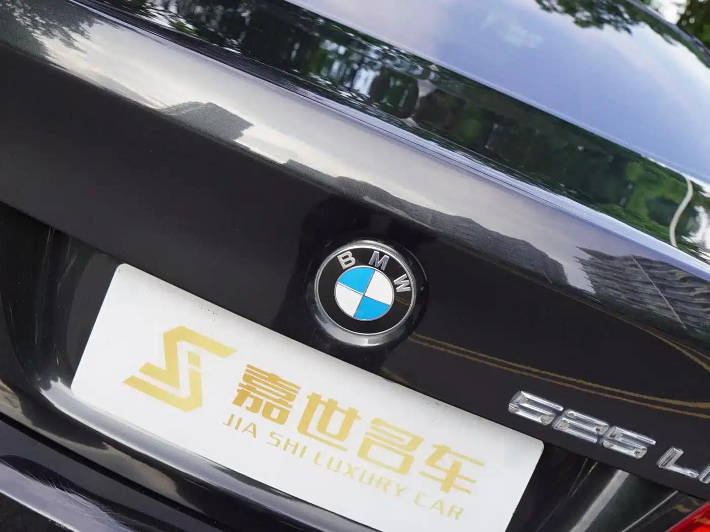 BMW 5 Series 2017 525Li Leading Edition — миниатюра 29