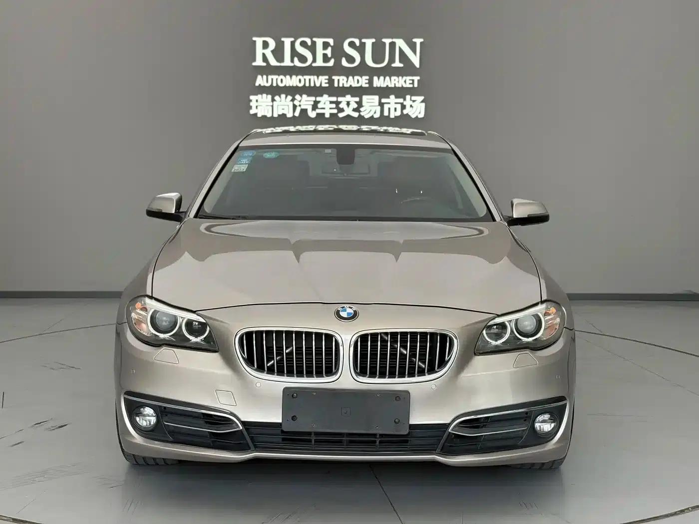 2014 BMW 5 Series 525Li Luxury Design Package — миниатюра 3