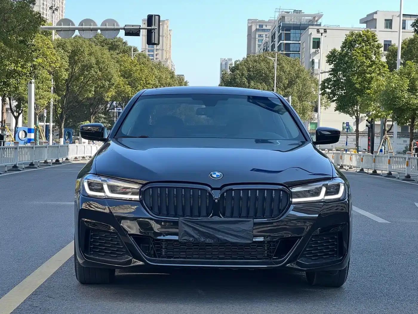 BMW 5 Series 2018 530Li Luxury Package — миниатюра 1