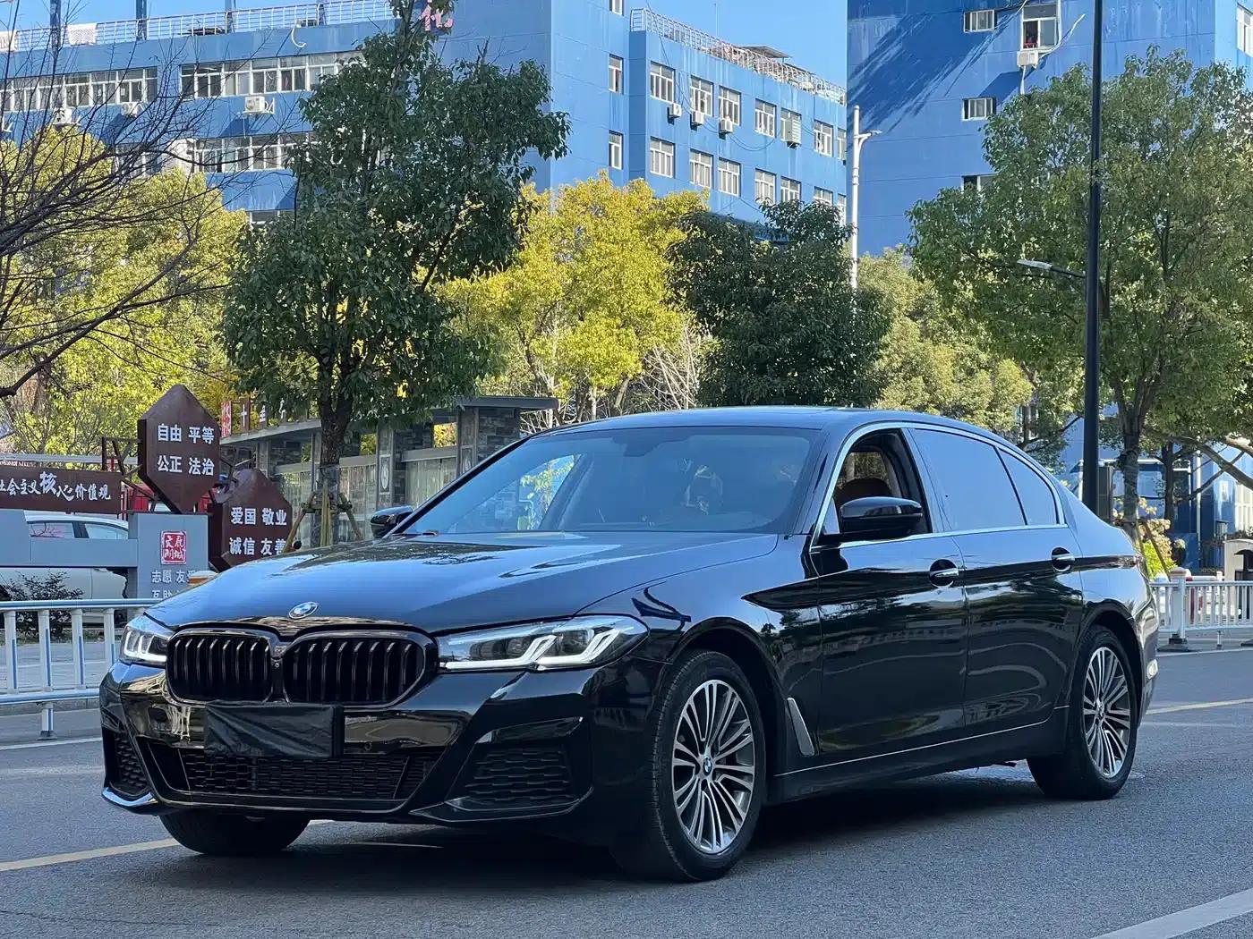 BMW 5 Series 2018 530Li Luxury Package — миниатюра 2