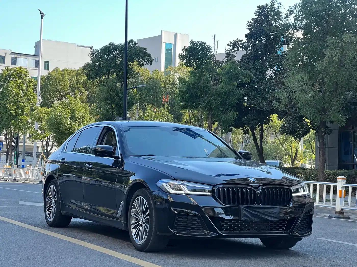 BMW 5 Series 2018 530Li Luxury Package — миниатюра 3