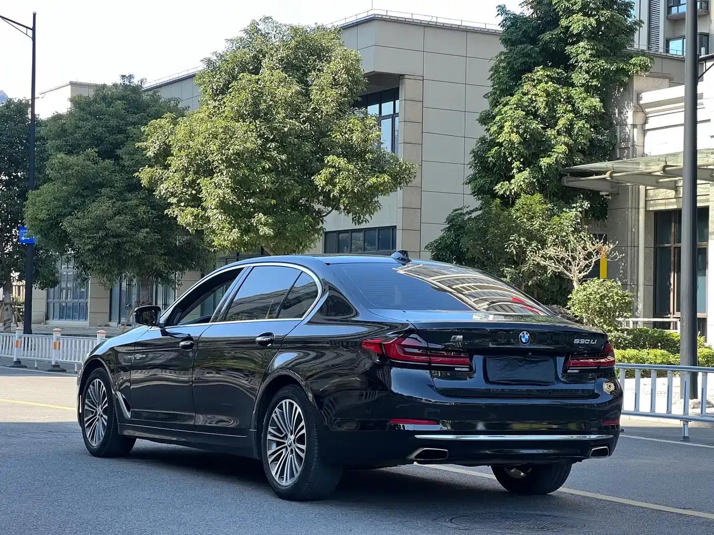 BMW 5 Series 2018 530Li Luxury Package — миниатюра 4