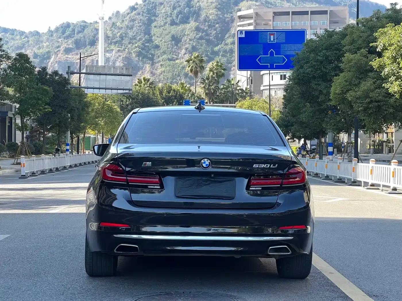 BMW 5 Series 2018 530Li Luxury Package — миниатюра 5