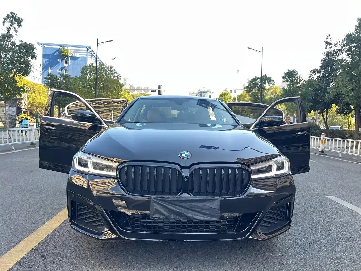 BMW 5 Series 2018 530Li Luxury Package — миниатюра 8