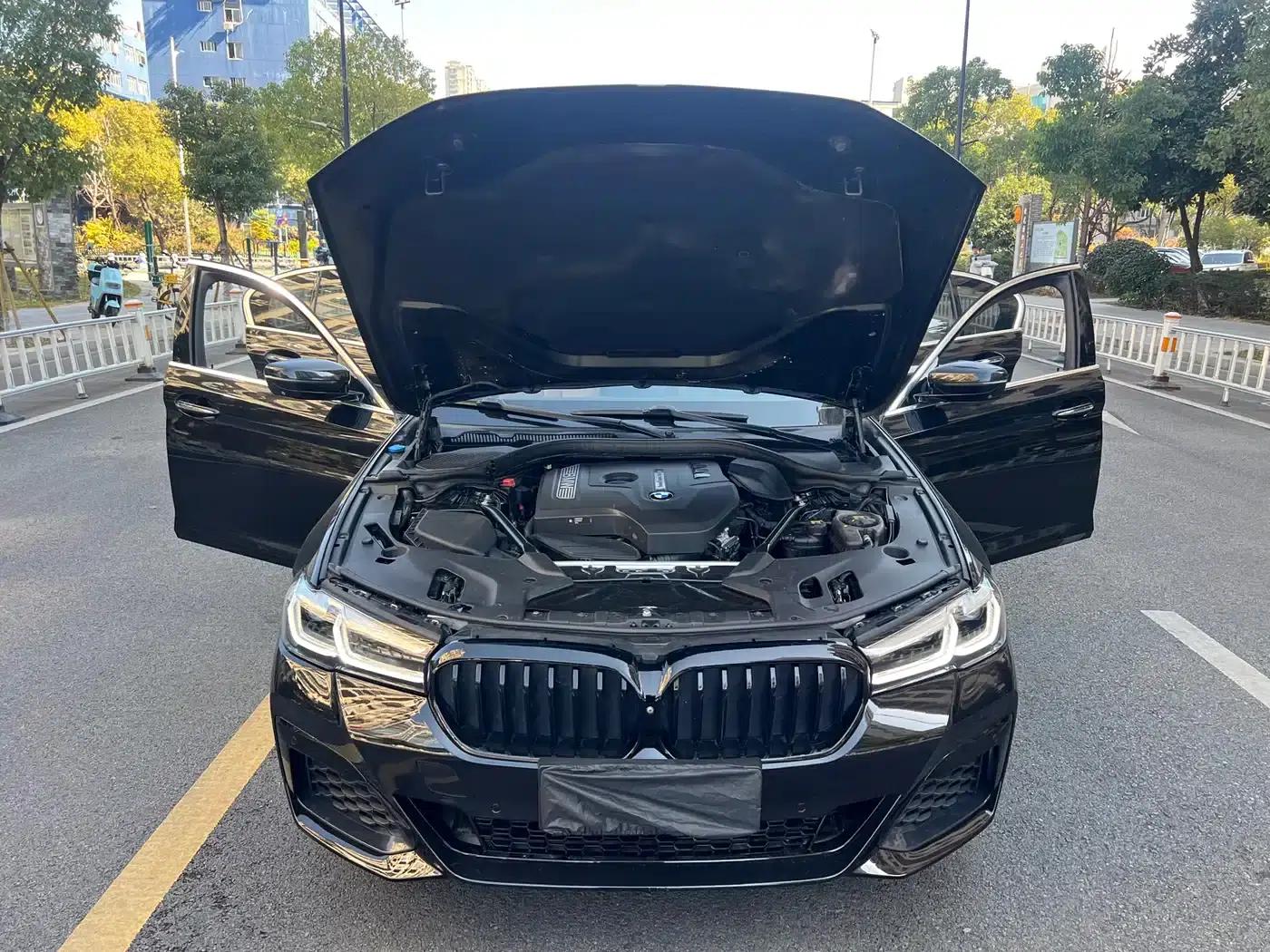 BMW 5 Series 2018 530Li Luxury Package — миниатюра 9