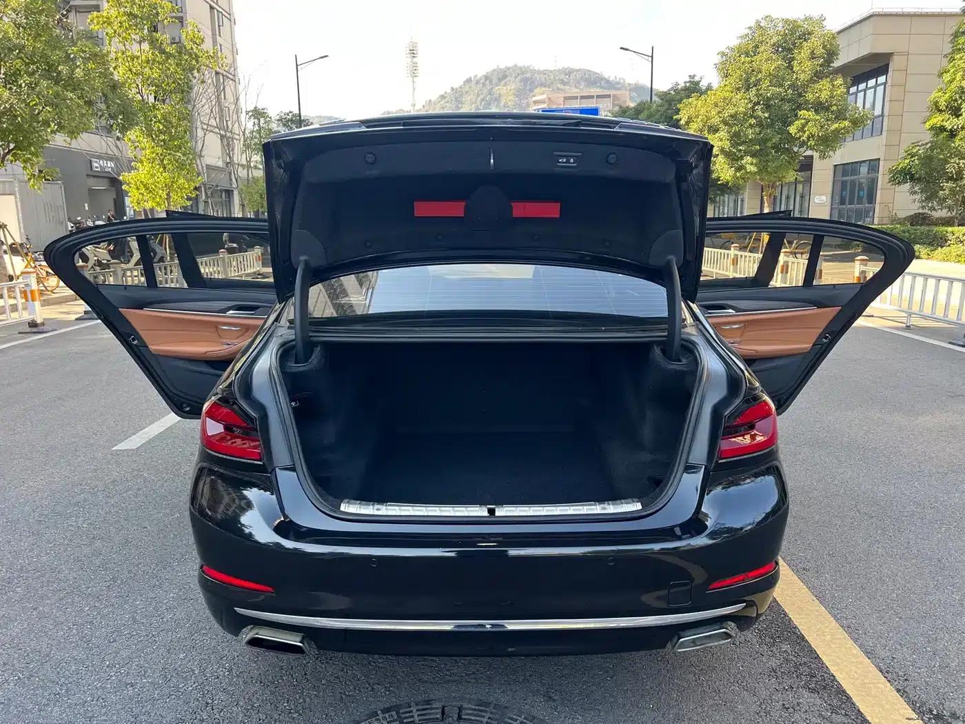 BMW 5 Series 2018 530Li Luxury Package — миниатюра 10