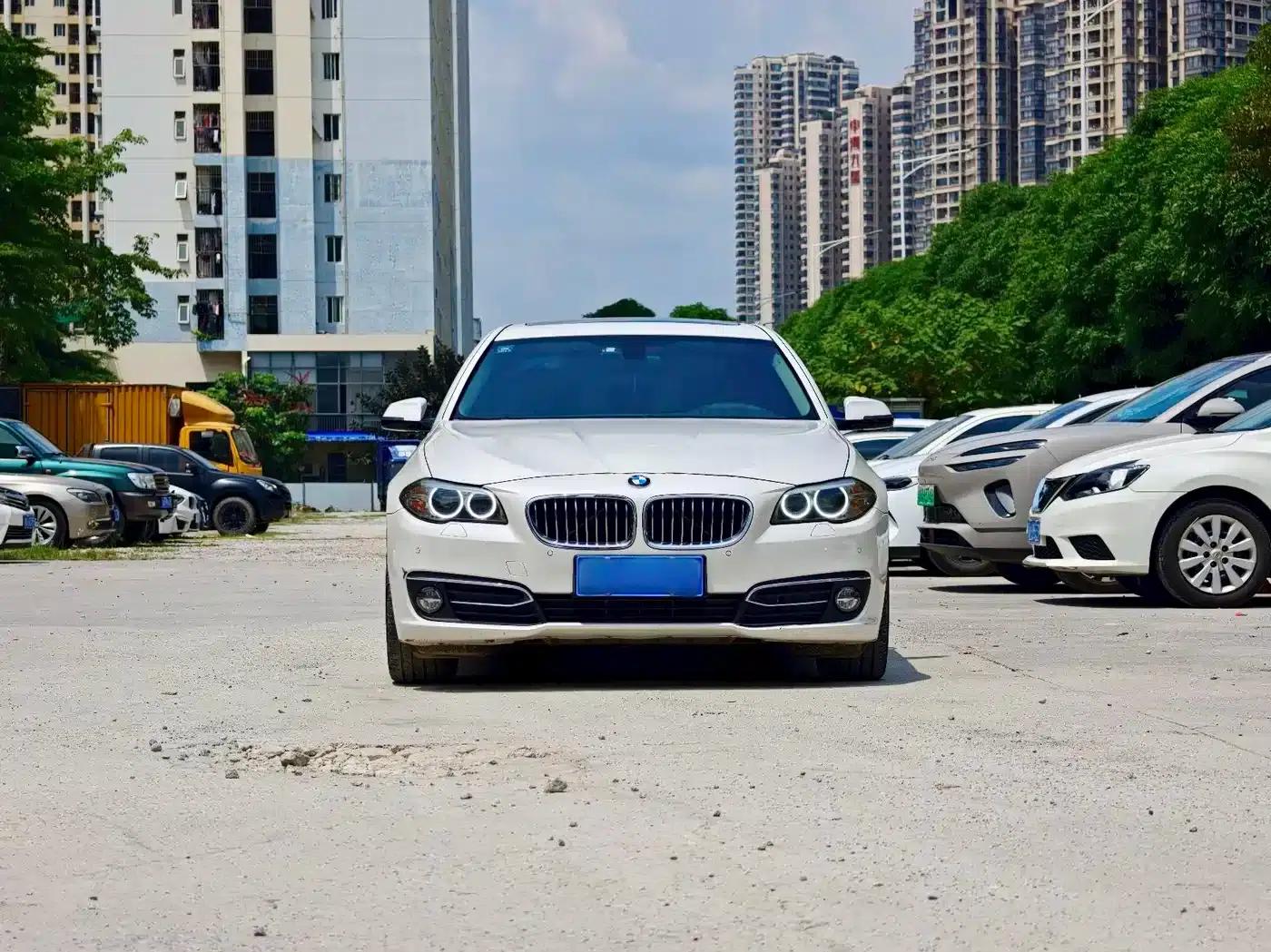 2017 BMW 5 Series 525Li Luxury Design Package — миниатюра 2