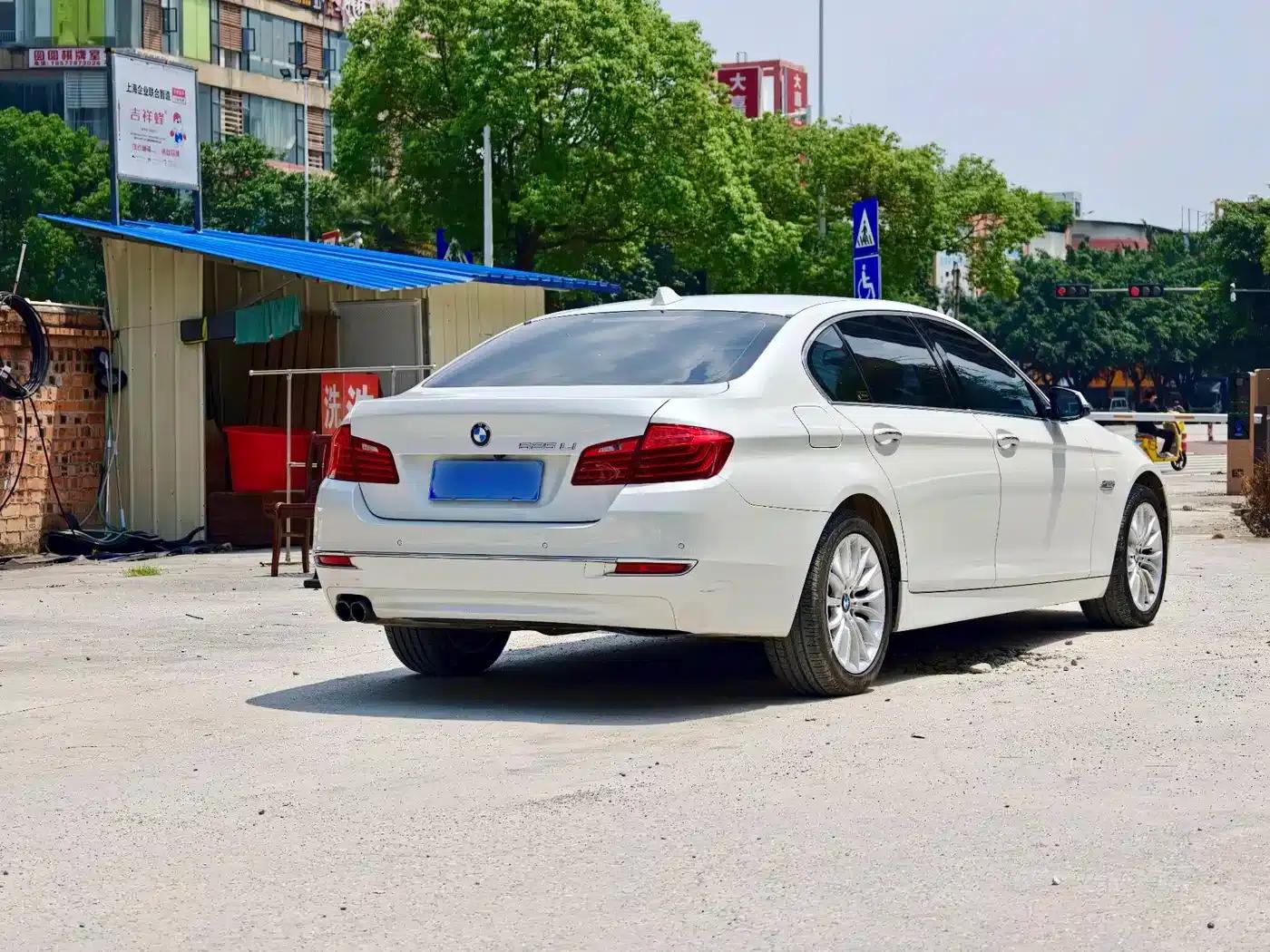 2017 BMW 5 Series 525Li Luxury Design Package — миниатюра 10
