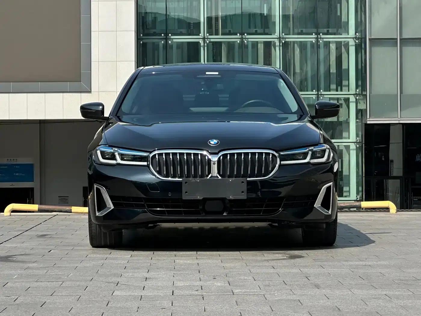 2021 BMW 5 Series Facelift 530Li Executive Luxury Package — миниатюра 4