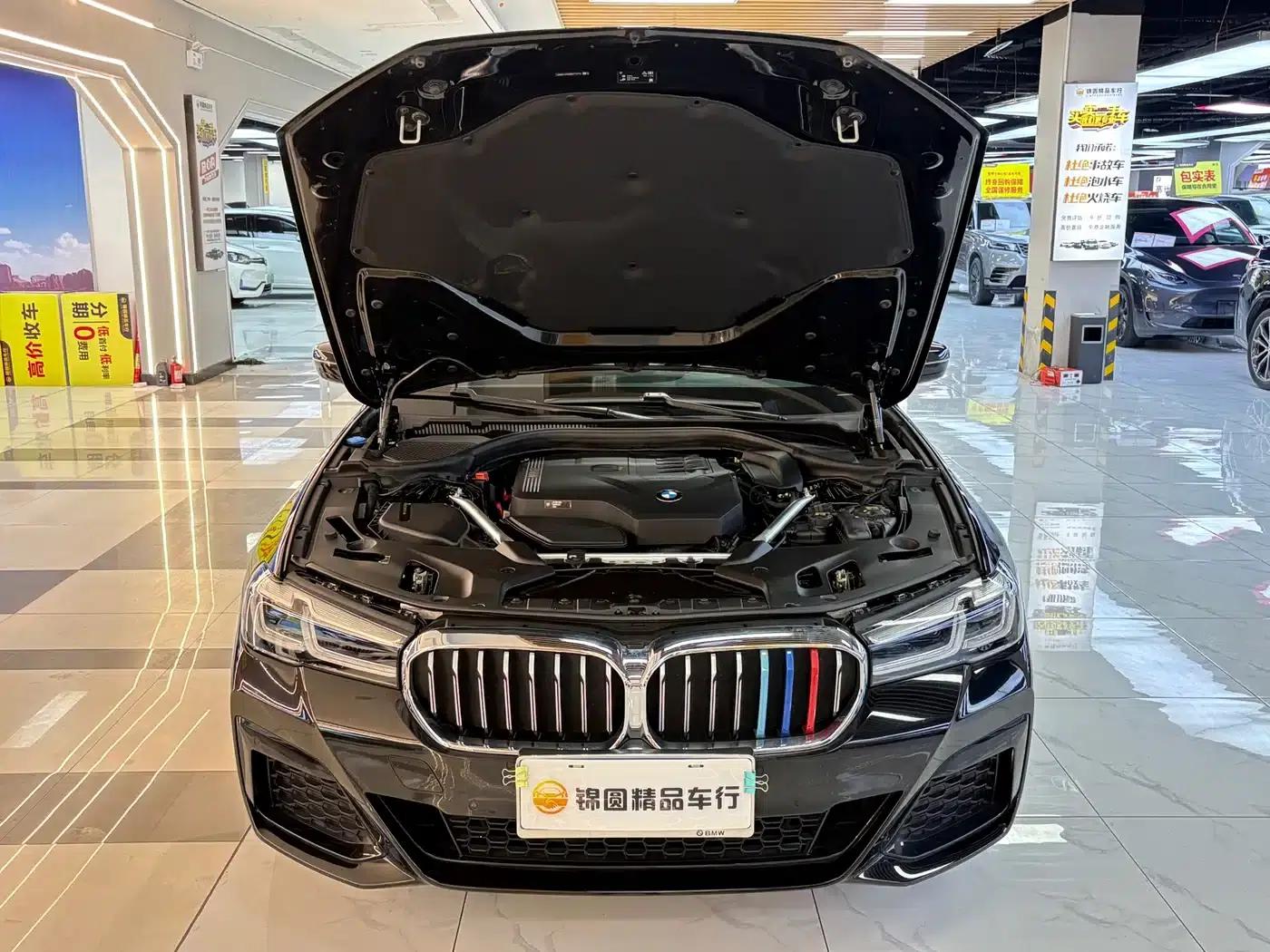 2021 BMW 5 Series Facelift 530Li Leading Edition M Sport Package — миниатюра 19