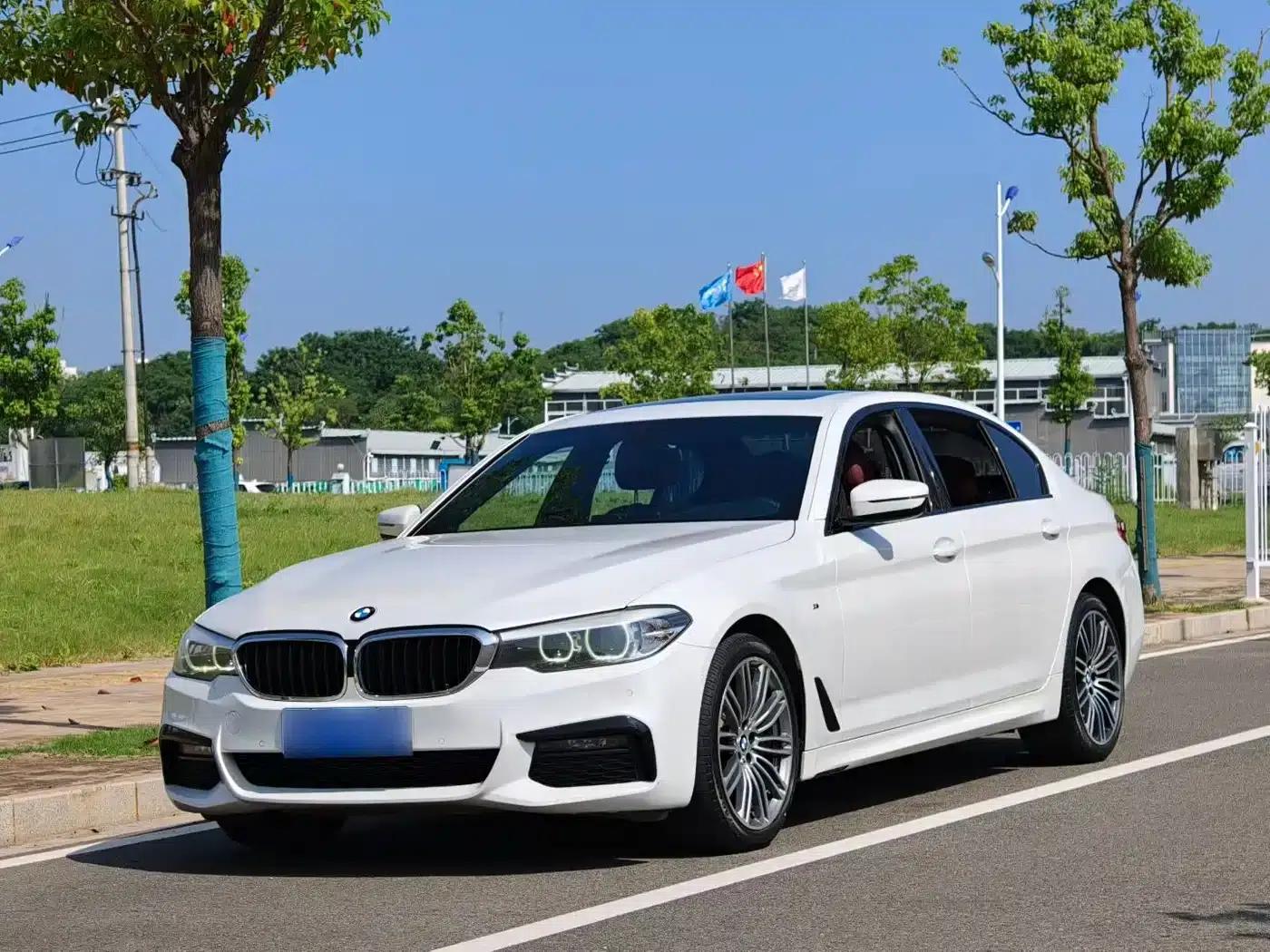 2019 BMW 5 Series 530Li xDrive M Sport Package — миниатюра 1