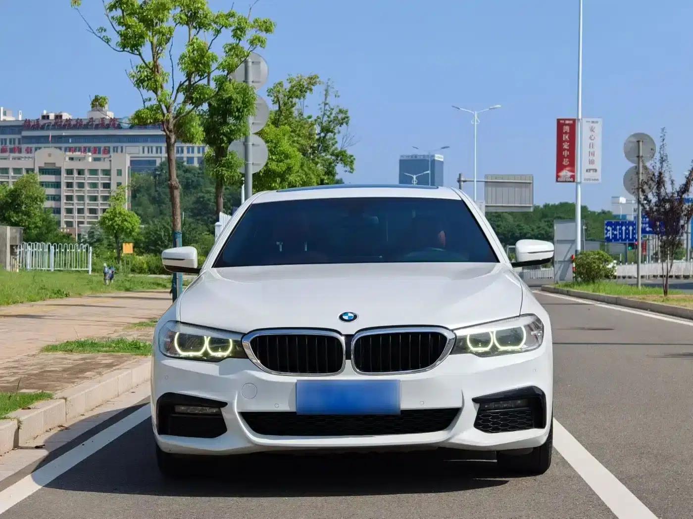 2019 BMW 5 Series 530Li xDrive M Sport Package — миниатюра 2