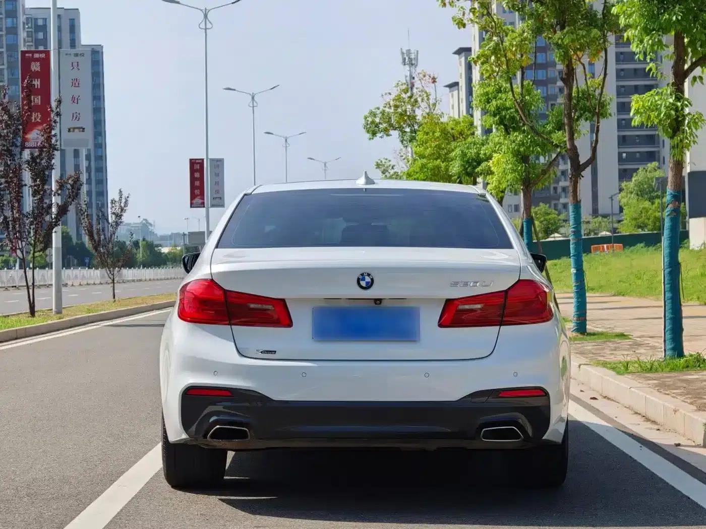 2019 BMW 5 Series 530Li xDrive M Sport Package — миниатюра 4