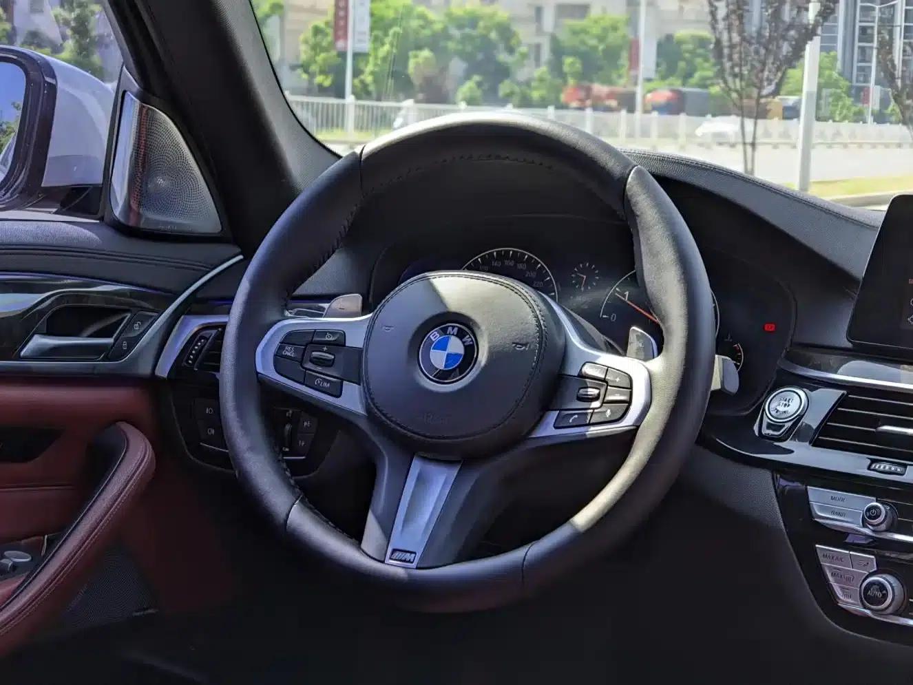 2019 BMW 5 Series 530Li xDrive M Sport Package — миниатюра 5