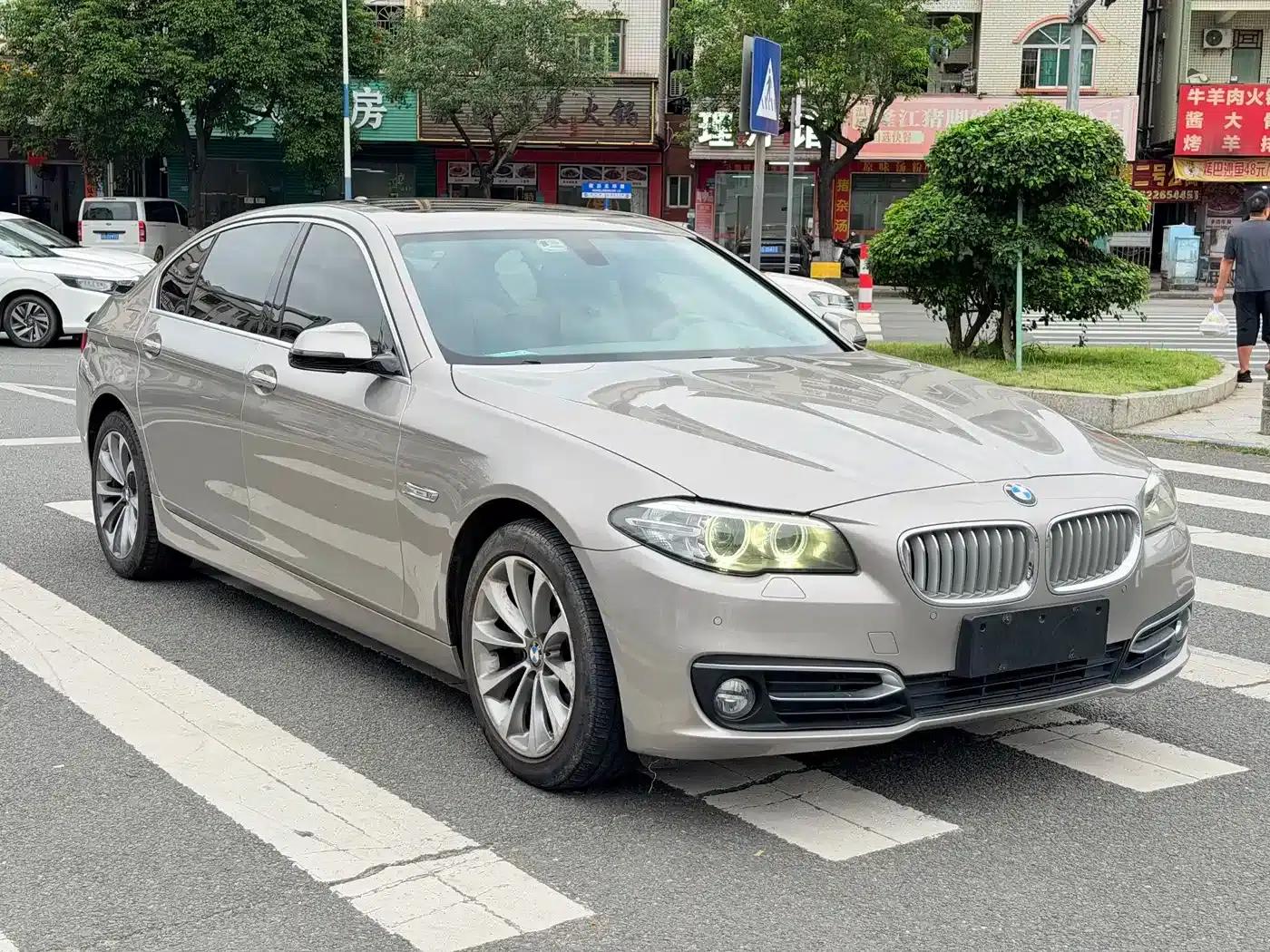 2013 BMW 5 Series 525Li Excellence Edition — миниатюра 3
