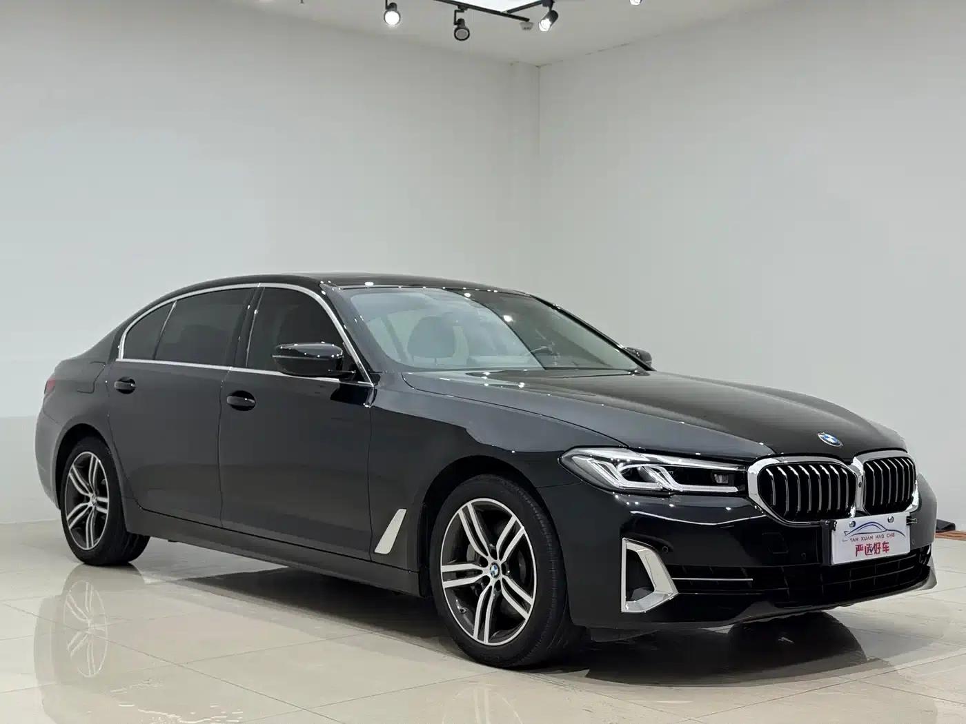 2022 BMW 5 Series 530Li xDrive Luxury Package — миниатюра 3