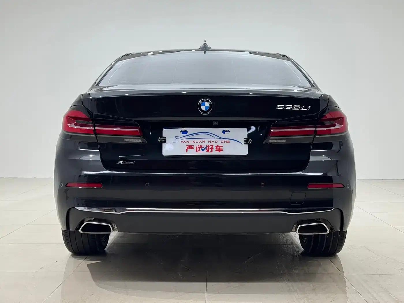 2022 BMW 5 Series 530Li xDrive Luxury Package — миниатюра 5