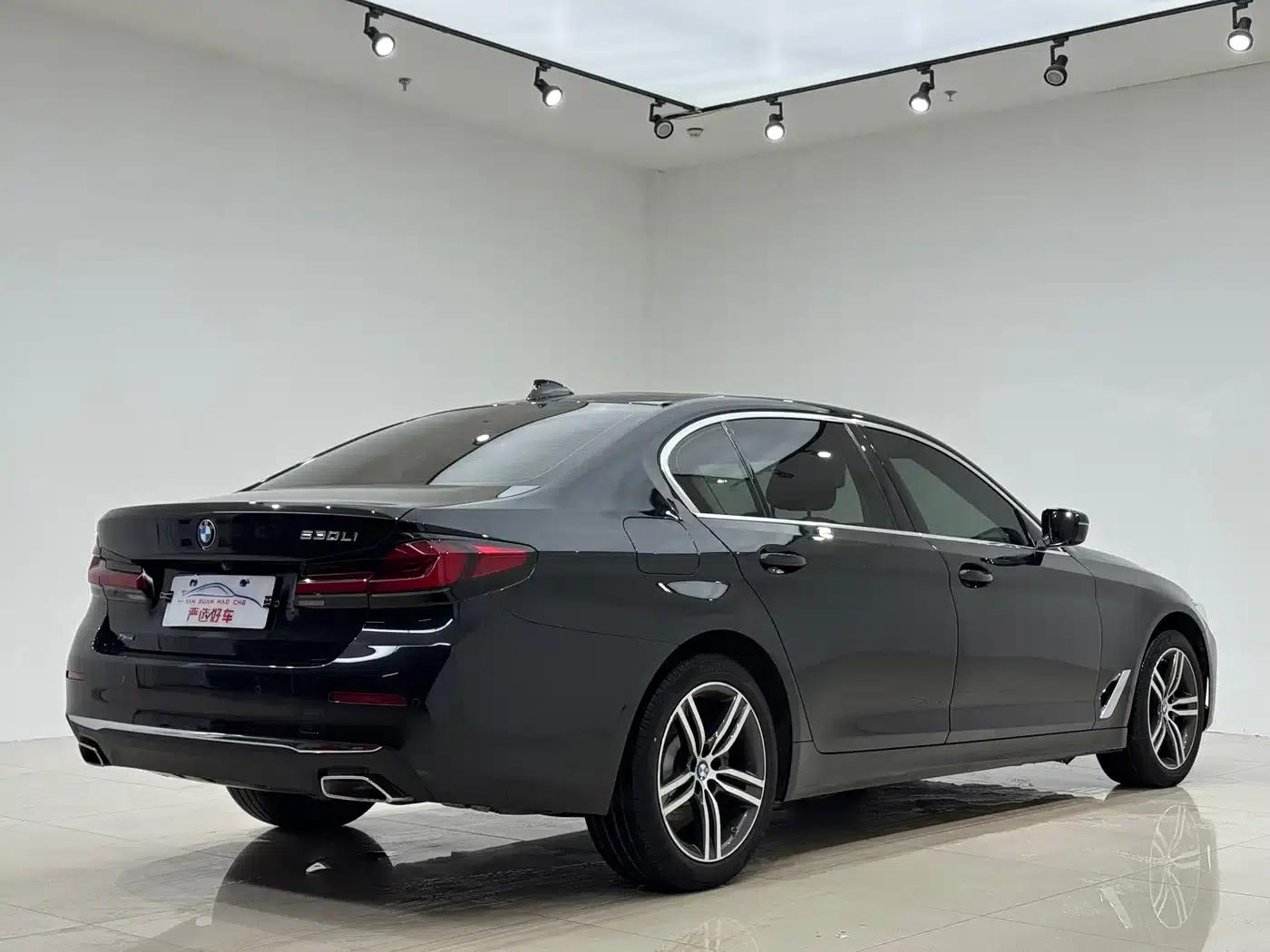 2022 BMW 5 Series 530Li xDrive Luxury Package — миниатюра 6