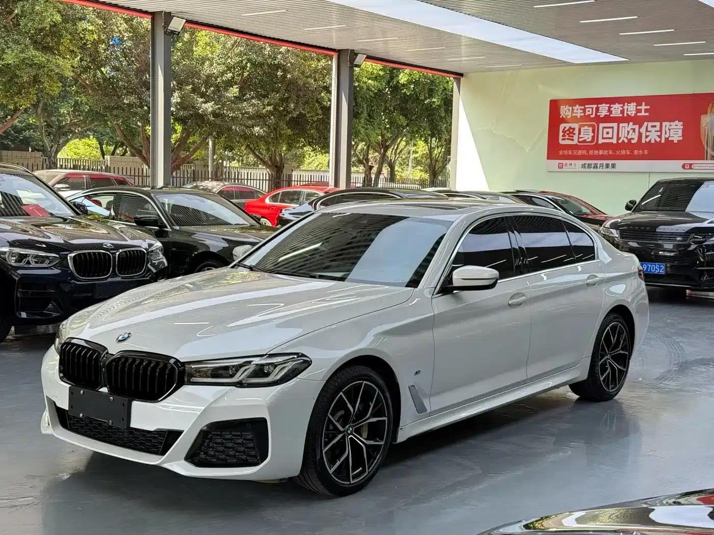 2021 BMW 5 Series 530Li Luxury M Sport Package — миниатюра 1