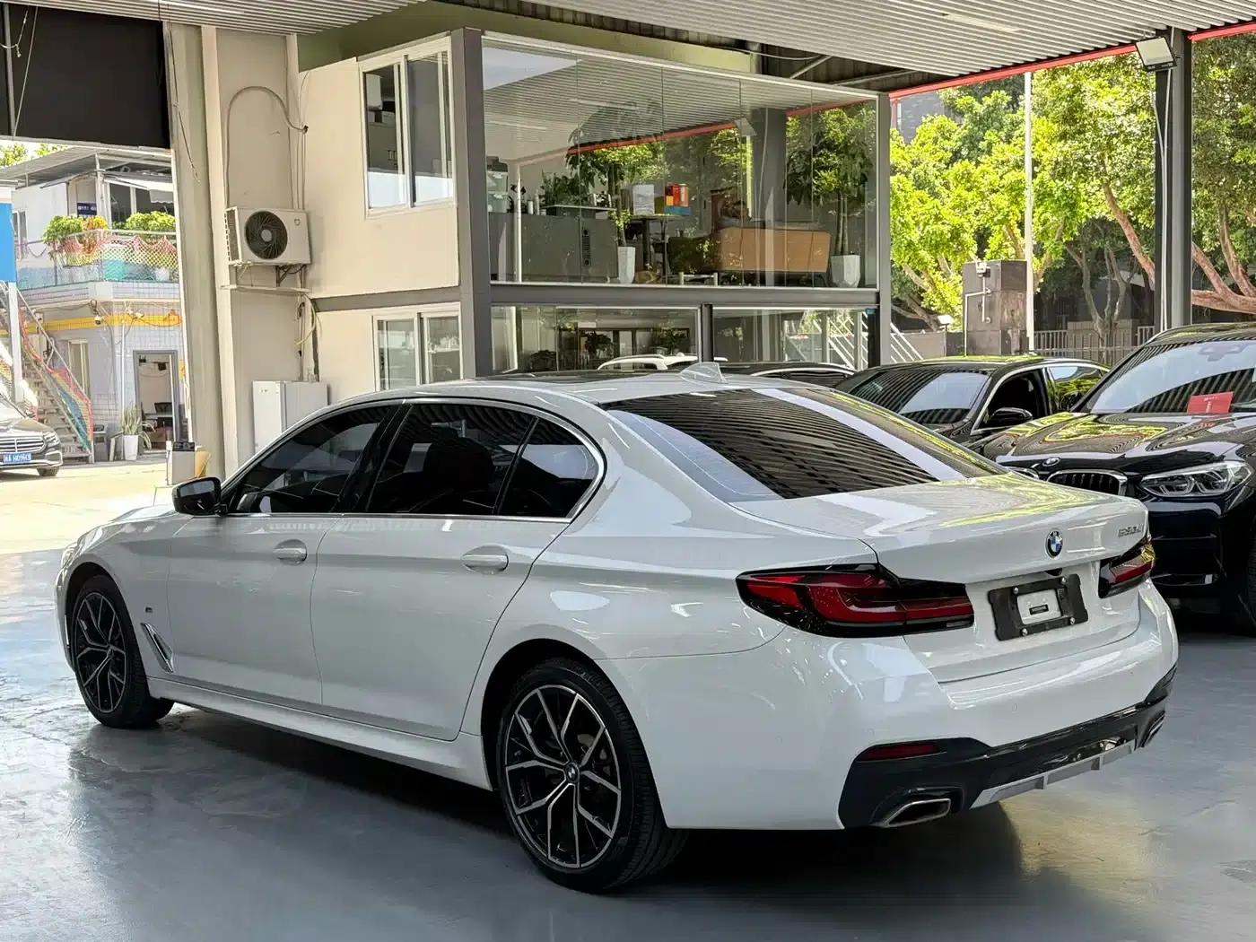2021 BMW 5 Series 530Li Luxury M Sport Package — миниатюра 7