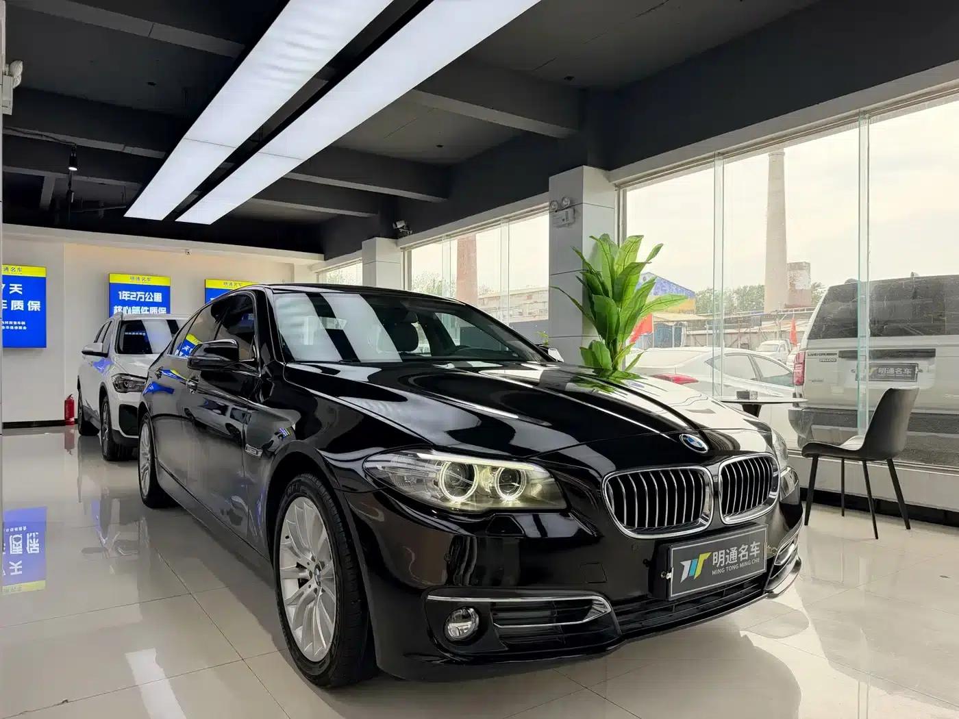 2014 BMW 5 Series 525Li Luxury Design Package — миниатюра 3