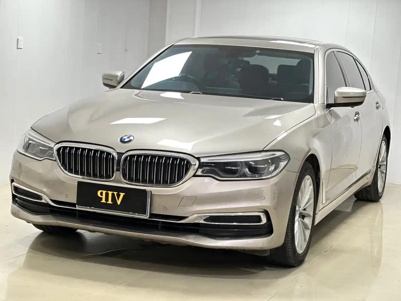 BMW 5 Series 2020 530Li Leading Luxury Package — миниатюра 1