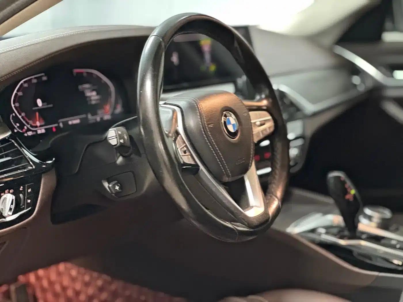 BMW 5 Series 2020 530Li Leading Luxury Package — миниатюра 11