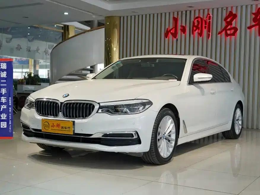 BMW 5 Series 2020 530Li Luxury Package — миниатюра 1