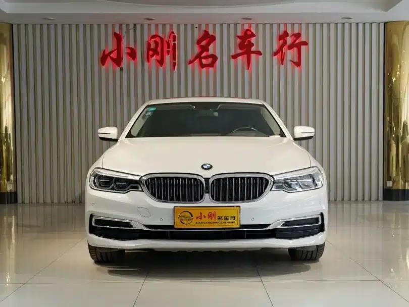 BMW 5 Series 2020 530Li Luxury Package — миниатюра 3