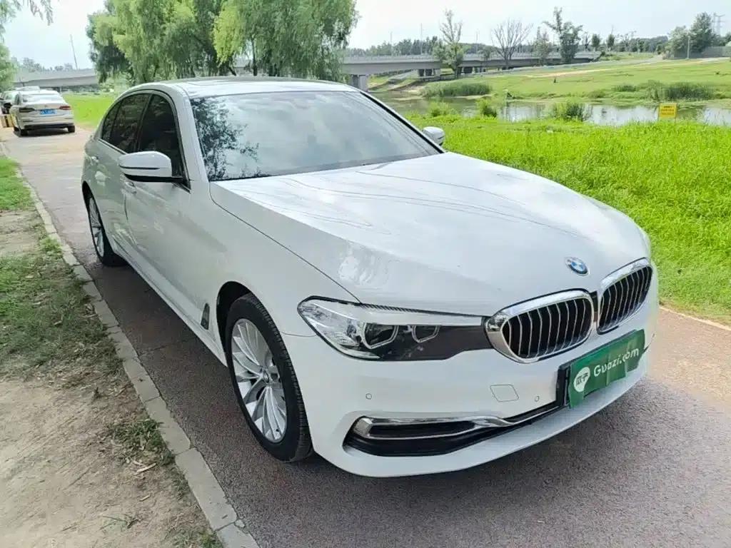 BMW 5 Series 2019 530Li Leading Luxury Package — миниатюра 4