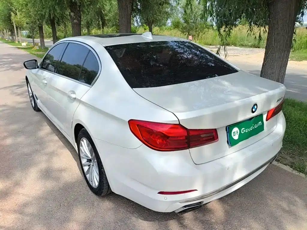 BMW 5 Series 2019 530Li Leading Luxury Package — миниатюра 5