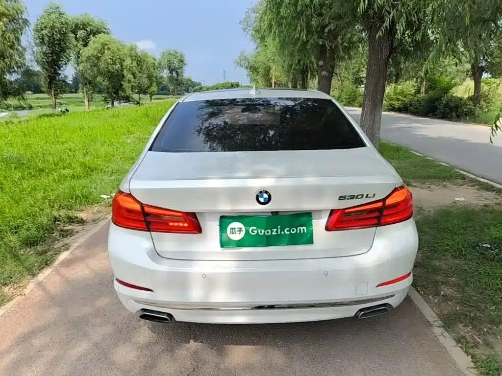 BMW 5 Series 2019 530Li Leading Luxury Package — миниатюра 6