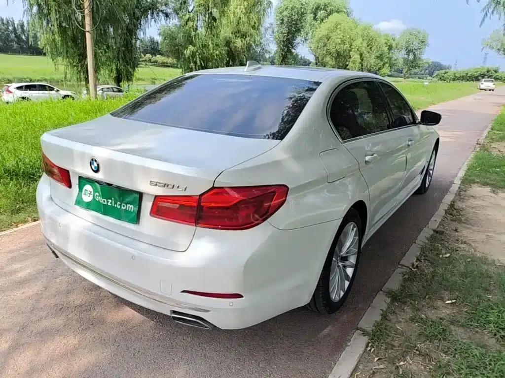 BMW 5 Series 2019 530Li Leading Luxury Package — миниатюра 7