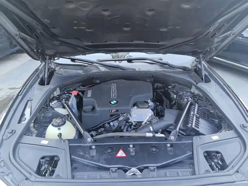 2017 BMW 5 Series 525Li Luxury Design Package — миниатюра 20