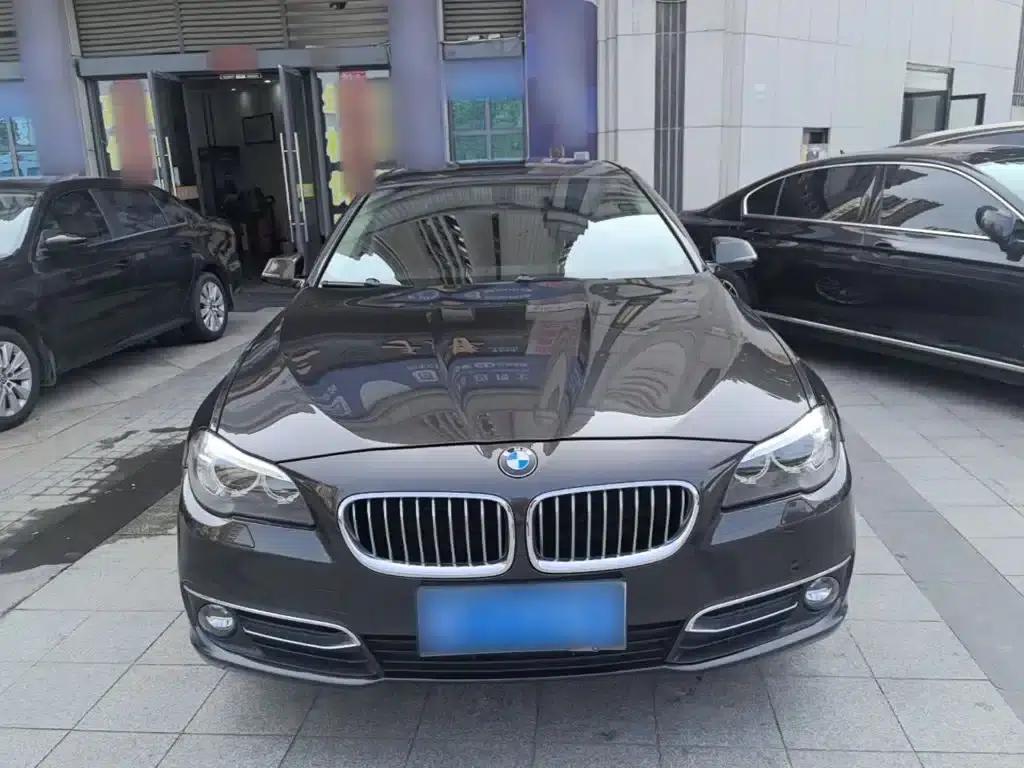 2017 BMW 5 Series 525Li Luxury Design Package — миниатюра 3