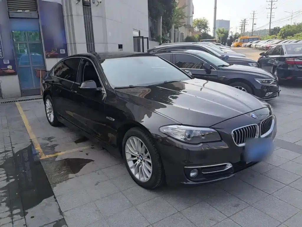 2017 BMW 5 Series 525Li Luxury Design Package — миниатюра 4